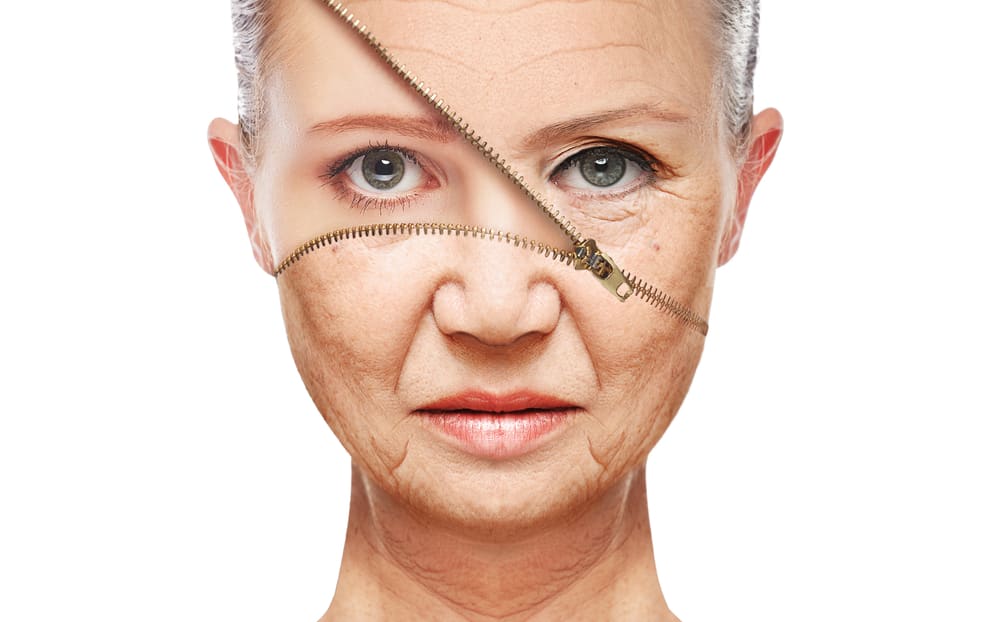 Discover the Fountain of Youth: Rapamycin Anti-Aging Therapy