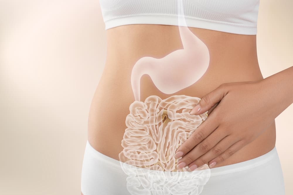 Revitalize Your Wellbeing: Nurturing Gut Health with YoungerMeMD