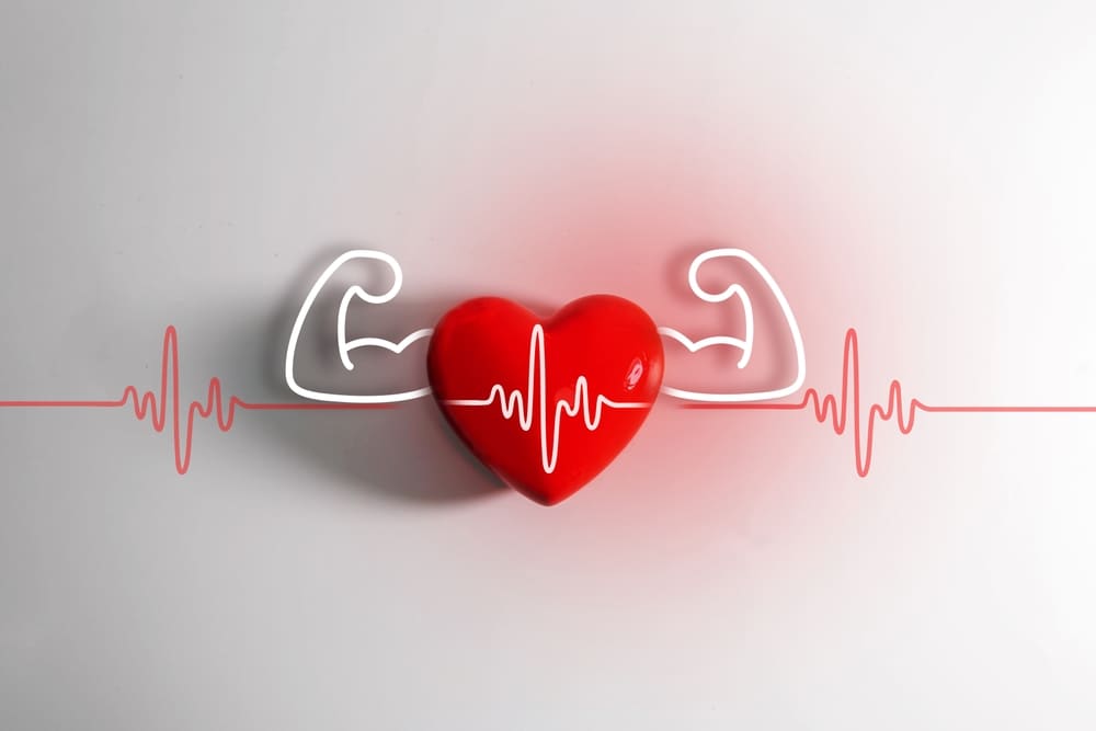 Heartfelt Health: Your Guide to Cardiovascular Wellness with Functional Medicine
