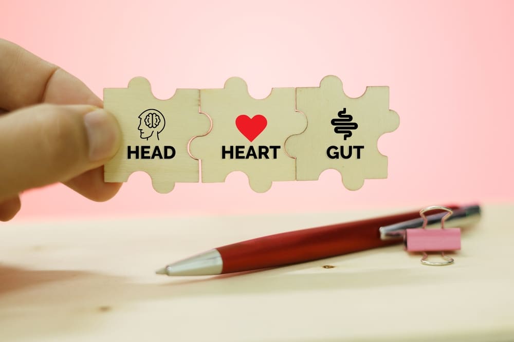 Transform Your Health: The Gut-Heart Connection in Conshohocken