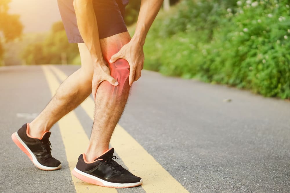 Why Tendon and Ligament Injuries Heal So Slowly
