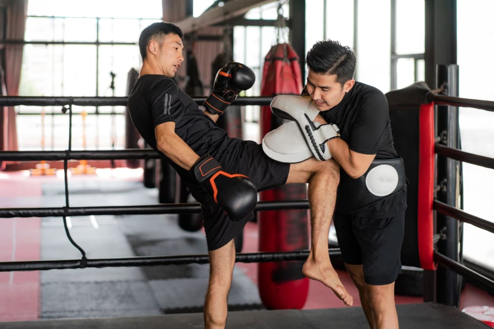Sustainable Cellular Performance: Building a Foundation for Life-Long Vitality and Strength