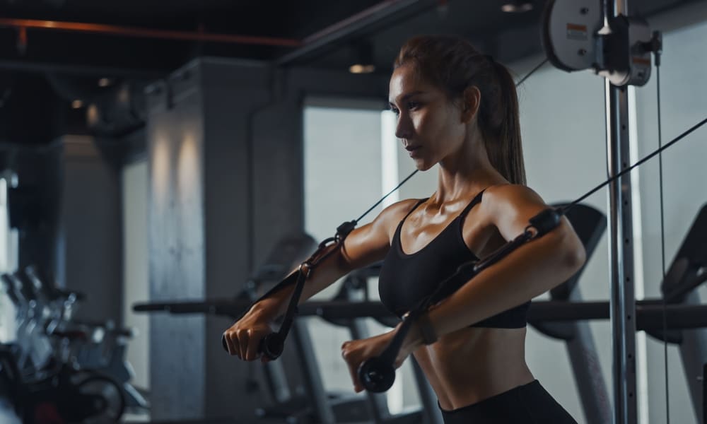 Why Mitochondrial Support is the Foundation of Modern Wellness and Physical Vitality