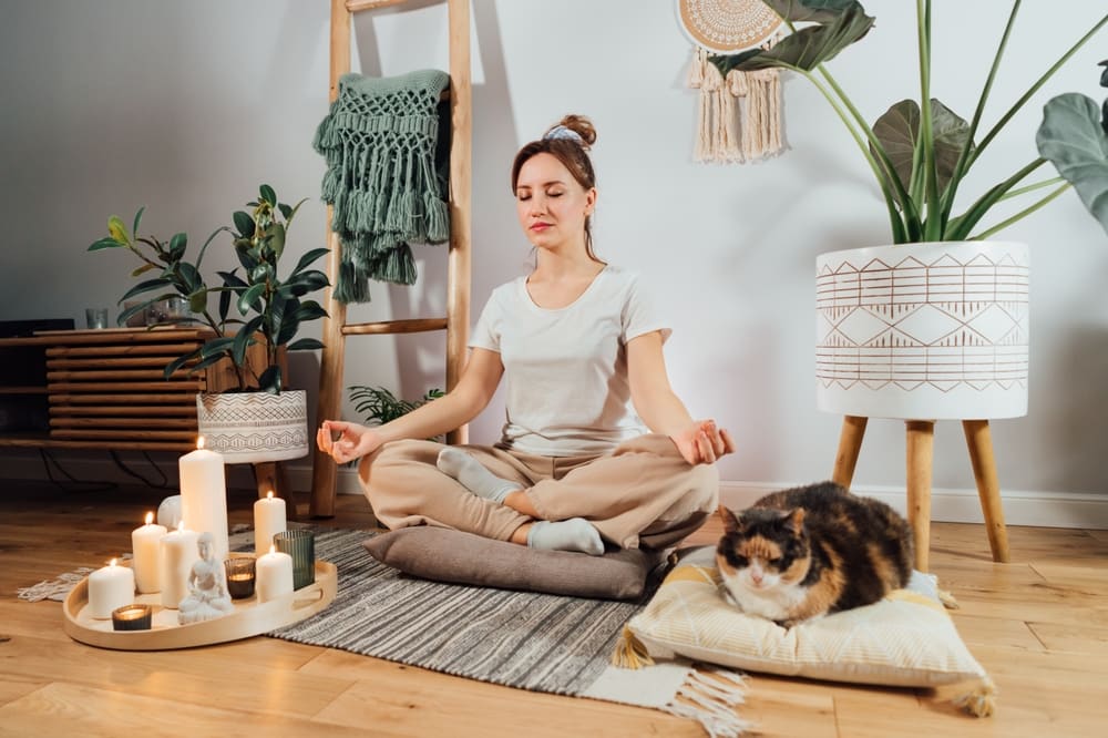 Navigating High-Stress Seasons: How to Maintain Consistent Immune Resilience with Science