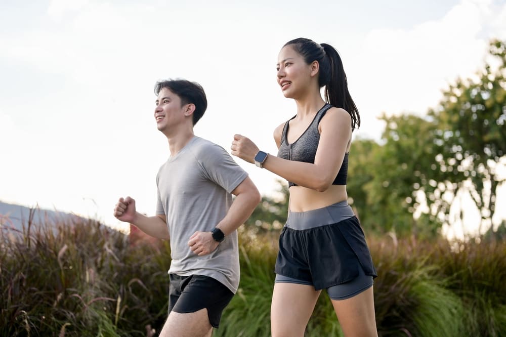 A Comprehensive Guide to Brain Pathways and Enhancing Neurotransmitter Health